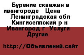 Бурение скважин в ивангороде › Цена ­ 2 500 - Ленинградская обл., Кингисеппский р-н, Ивангород г. Услуги » Другие   